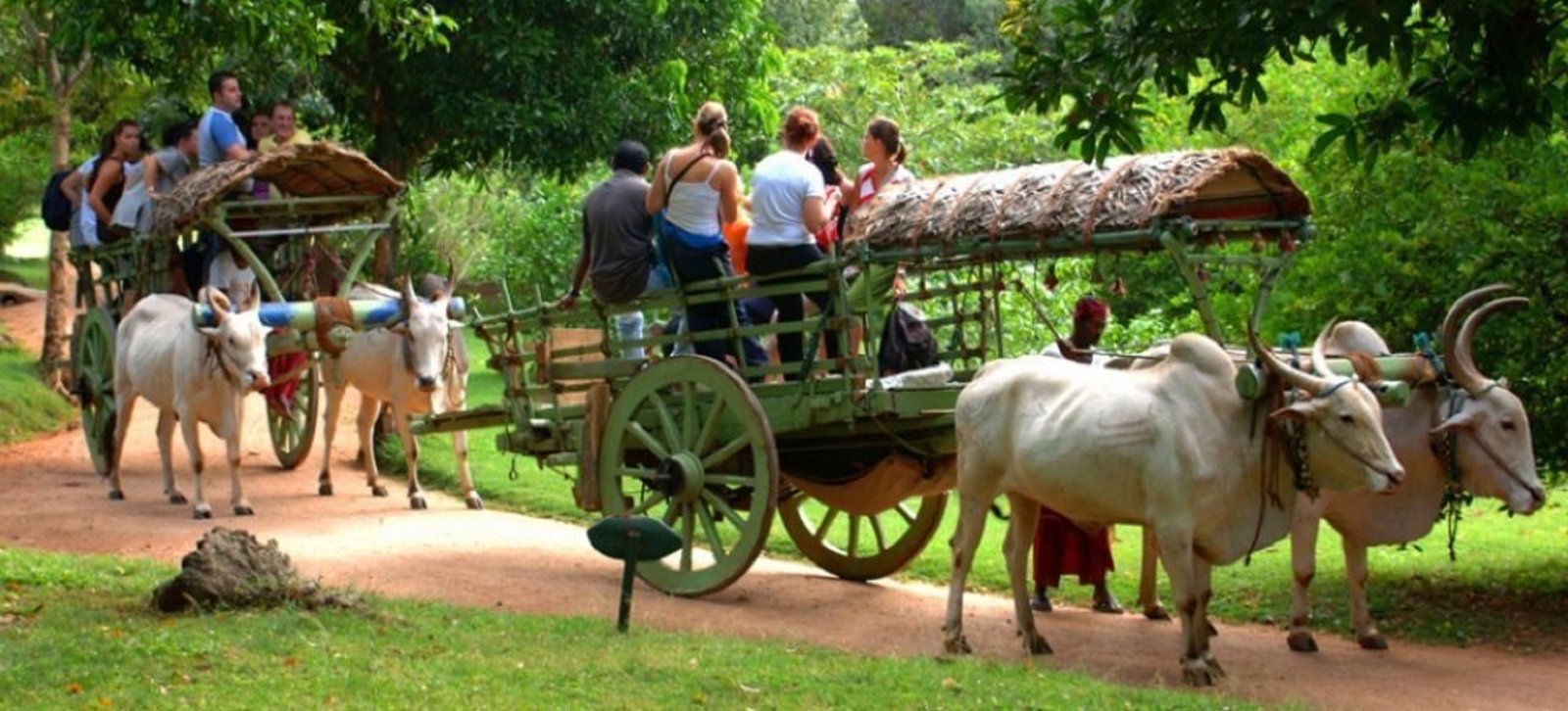 hiriwadunna village tour