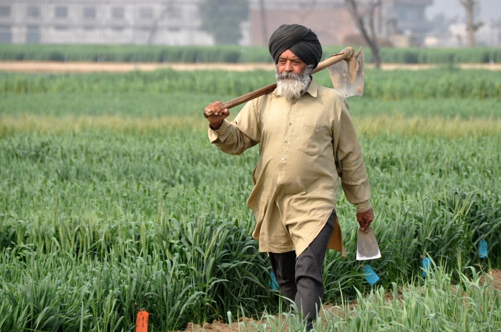 Itmenaan Lodges Punjabiyat Farming In Rural Punjab India Visit 